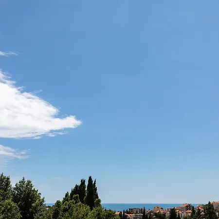 Apartment Franka - With Terrace And Sea View A2 Dubrovnik